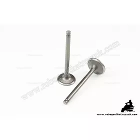   Szelep szett 4T ATV / QUAD 110ccm, 4 ütemű kínai robogóhoz