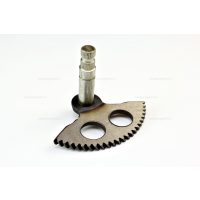 Berugó tengelyek, fogasívek