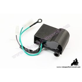 Gyújtáselektronika (CDI) Malaguti F10 / F12