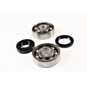 Csapágy + szimering szett MINARELLI AM6