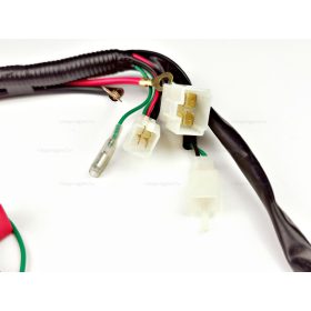   Vezeték köteg 110-125ccm Dirt bike - Pitbike (önindítós)