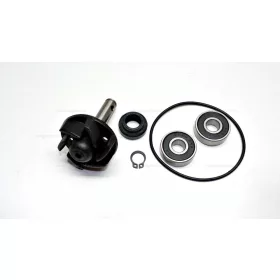 Vízpumpa felújító Yamaha RMS 0010