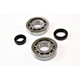 Csapágy + szimering szett Peugeot Buxy