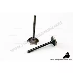   Szelep szett 4T 150ccm W STANDARD, 4 ütemű kínai robogóhoz