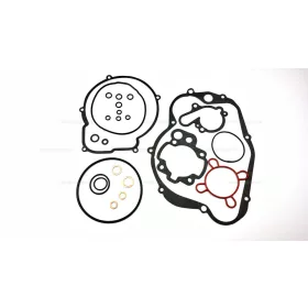 Tömítés szett AM6 49ccm 40.3mm (macifüles)