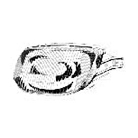 Lámpa első PIAGGIO TYPHOON 125ccm F289