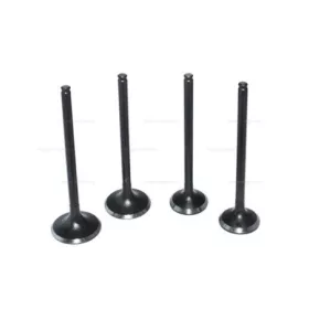 Szelep szett HONDA XR 250 "TORNADO" W STANDARD