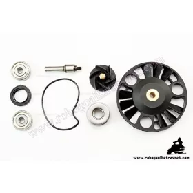   Vízpumpa felújító PIAGGIO 125 MP3-X EVO-X7-X8-X9-GTS / APRILIA 125 ATLANTIC / GILERA 125 NEXUS