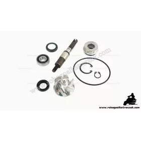 Vízpumpa felújító Honda Sh / Chiocciola 125-150 komplett
