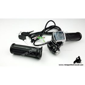   Gázkar töltöttség visszajelzővel és gyújtáskapcsolóval (számos) - elektromos kerékpárhoz