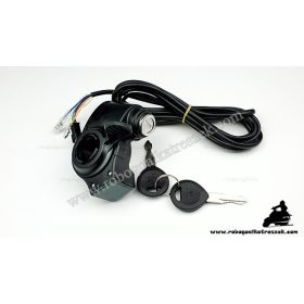   Gázkar töltöttség visszajelzővel és gyújtáskapcsolóval (tolattyús) - elektromos kerékpárhoz