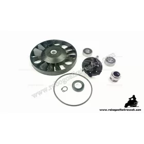   Vízpumpa felújító PIAGGIO 125 X8 2004>, X9 2001>, BEVERLY 2001-2005, VESPA GTS 2003> / GILERA 125 NEXUS 2005>, RUNNER 2000> / APRILIA 125 ATLANTIC 2003>