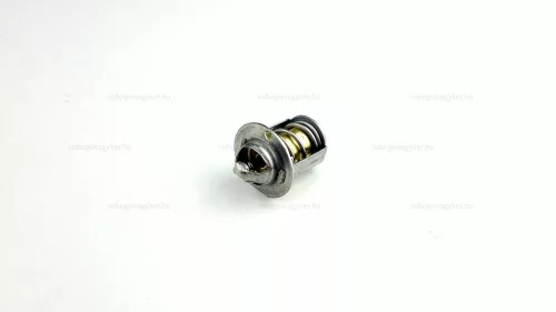 Termosztát AM6 / Aprilia SR / Malaguti / Yamaha