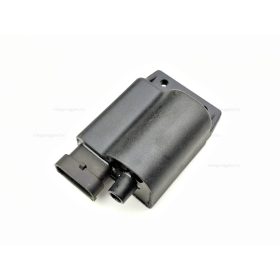 Cdi Malaguti F12 00-04 / F15 -03-ig