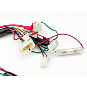 Vezeték köteg Dirt Bike - Pitbike 125ccm TIP 1