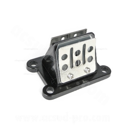 Visszacsapó szelep DERBI SENDA / GPR / GILERA 50 SMT / RCR
